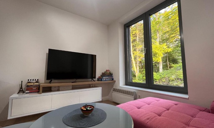 Bjelasnica Apartamento | Srebrna Lisica 98 - Cosy studio appartment, near the ski track