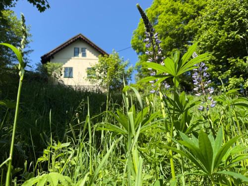 Stare Mesto Cabina | Stříbrná chaloupka Na Vyhlídce