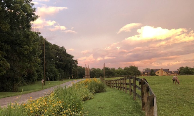 Ozark Apartamento | St. Noel Redbud Suite at Camp Ondessonk