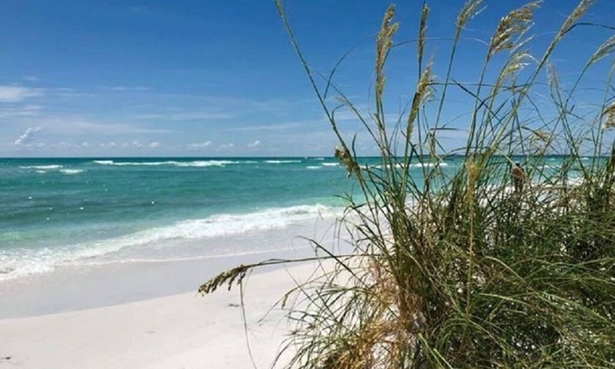 Crescent Lake Casa | St Pete Dtwn + 15 minutos a la playa + Alquiler grande y hermoso con 2 bicicletas para recorrer st pete!