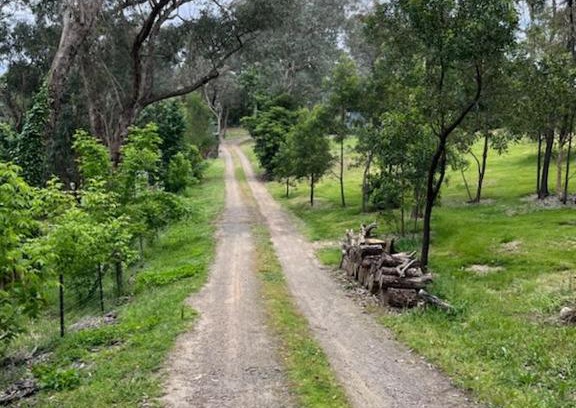Warrandyte Casa | STA Wildlife Sanctuary - Yarra Valley Gateway!