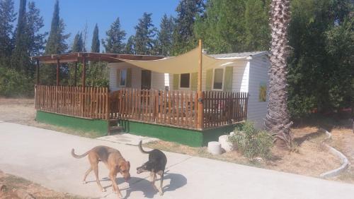 Alhaurín el Grande Apartamento | Stacaravan el toro Alhaurin