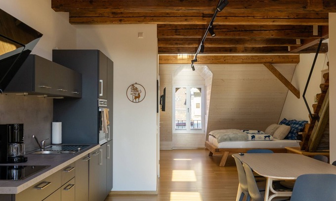 Villingen-Schwenningen Apartamento | Stadtwohnung im Kernsanierten Historischen Gebäude