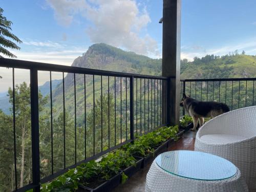 Ambagollapathana Casa | Star Gaze Lodge