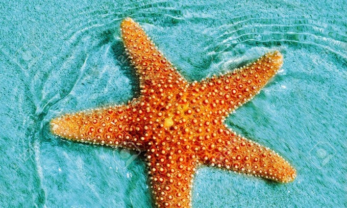Favara Apartamento | Estrella del sur - Favara AG