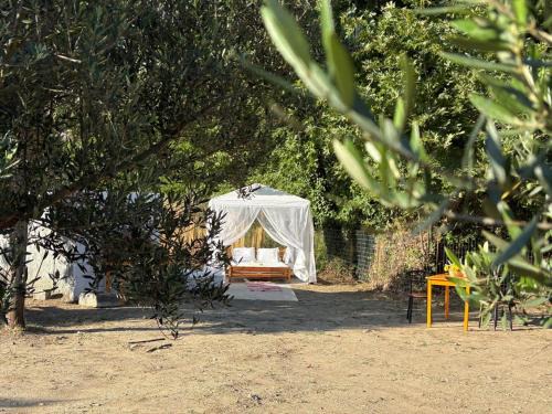 Agios Vasileios Otro | Star Sleep Koxare Rethymno