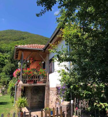 Stara Planina Casa | Stara planina, smestaj Ćirković