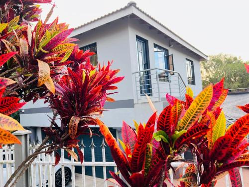 Berea Casa | Starlight Guest house