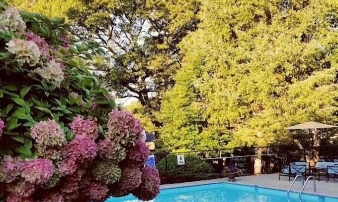 Dennis Cabina | Starlight Lodge Cape Cod