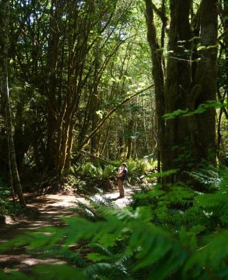 Port Angeles Otro | Starlight Olympic Glamping