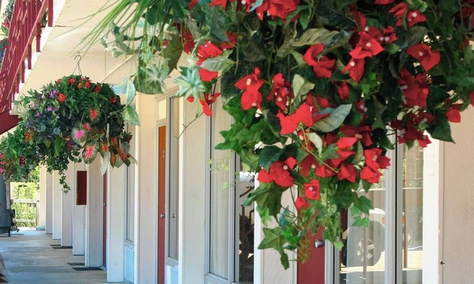 Eureka Springs Hotel | Statue Road Inn