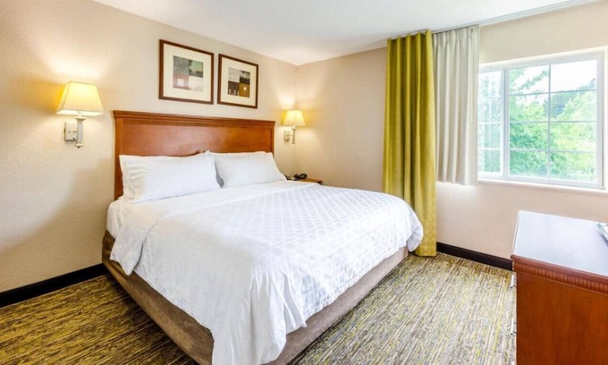 Eden Casa | Stay in Style and Comfort w/ a Contemporary Vibe