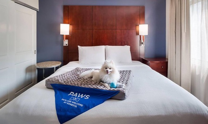 Downtown Village Casa | Stay Near Huntington Beach Pier! w/ Outdoor Pool, Private Parking & Pets Allowed