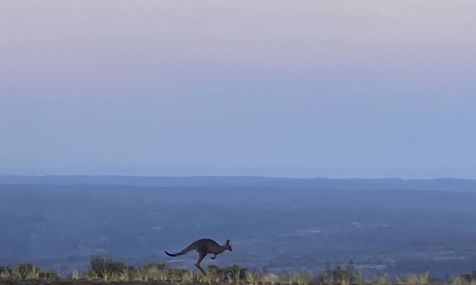 Sassafras Cabina | Stay on the escarpment, rural retreat, forest bathe, stargaze, amazing views