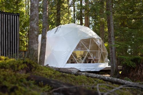 Sechelt Otro | Stay Wilder Sunshine Coast