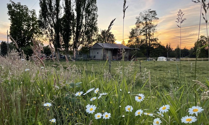 Marietta-Alderwood Apartamento | Stay with goats!