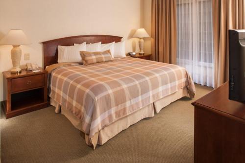 San Pedro Garza García Hotel | Staybridge Suites Monterrey San Pedro by IHG