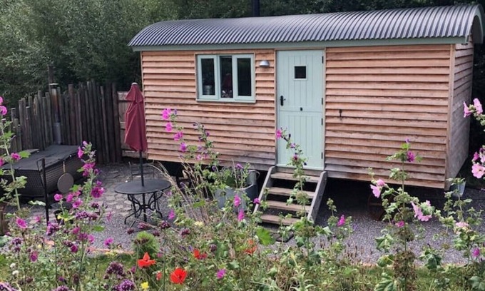 Sampford Brett Cabina | Steam & Stars Luxury Glamping -Willow shepherd hut