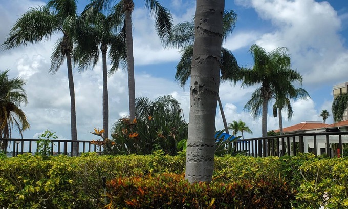 Isla del Sol Condominio | Steps away from the pool with Ultimate water views!
