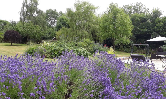 Alweston Cama Y Desayuno | Stoneleigh Barn B&B