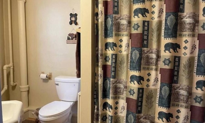 Loveland Apartamento | Stoney River Lodge - Unit 6 - Bear