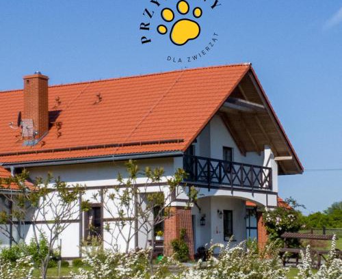 Paszowice Casa | Storczykowe Wzgórze