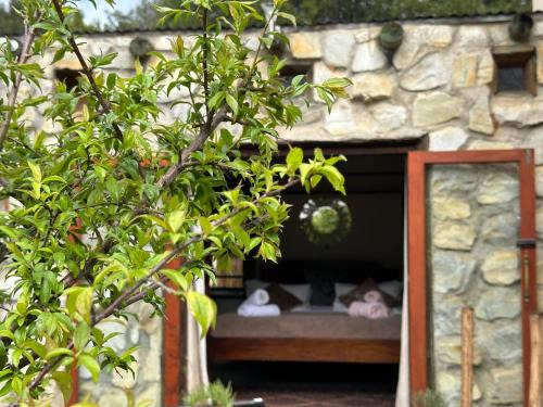 Storms River Apartamento | Stormsriver Backpackers Dijembe
