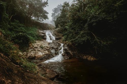 Kottappadi part Casa | Stream Garden Mountain Resort