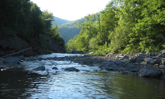 Chichester Apartamento | Streamside Catskill Mountain House