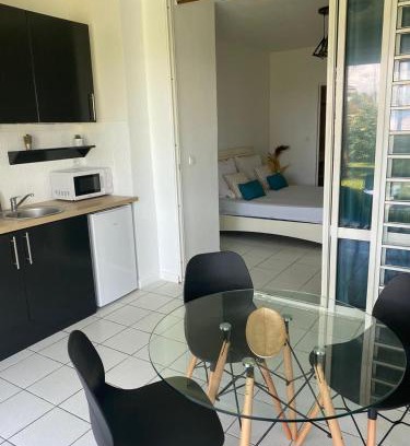 Pointe-a-Pitre Apartamento | Studio 18