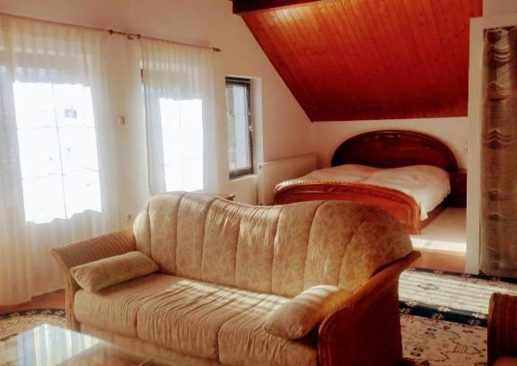 Porumbacu de Jos Apartamento | Studio 45 sqm with mountain view