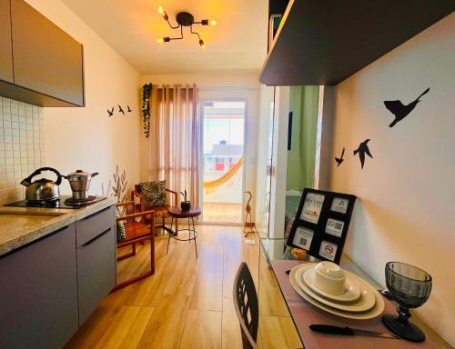 Amaralina Apartamento | Studio Aconchegante com Varanda, Piscina e Vista Mar - Salvador