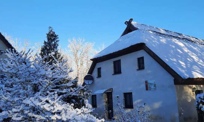 Lassan Apartamento | Studio - Alte Schnitterkate