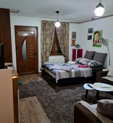 Doboj Apartamento | Studio Apartman Ana Doboj