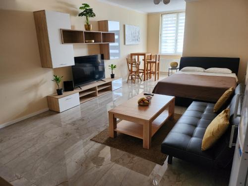 Karlovac Apartamento | Studio apartman Borlin
