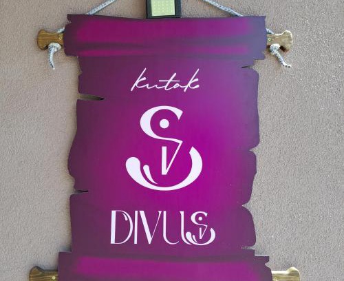 Pluzine Apartamento | Studio apartman "Kutak DIVUS"