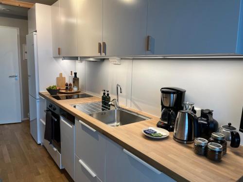 Narvik Apartamento | Studio apartment at Narvikfjell, free parking