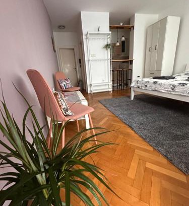 Grbavica Apartamento | Studio Apartment Laganini
