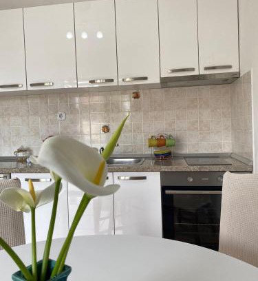 Cilipi Apartamento | Studio apartment Novak