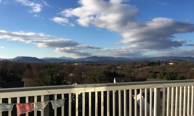 Roanoke Apartamento | Studio Apartment with King Bed, Stunning View & Sauna