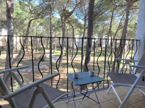 Argeles-sur-Mer Apartamento | Studio cabine à 200m de la plage, animaux admis, proche commerces - FR-1-225-687