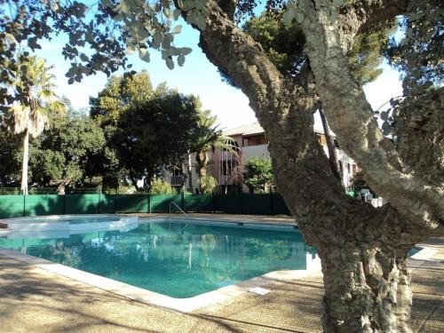 Saint-Aygulf Apartamento | Studio cabine avec piscine, tennis et parking à 400m de la plage - 4 couchages, Saint-Aygulf - FR-1-226A-89