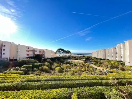 Sete Apartamento | Studio cabine rénové avec ascenseur et parking, à 30m de la plage - FR-1-338-547