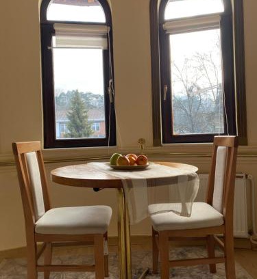 Banja Koviljaca Apartamento | Studio Carobna Dunja
