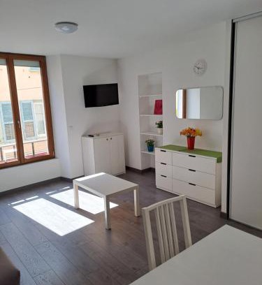 Vizille Apartamento | STUDIO CENTRE HISTORIQUE