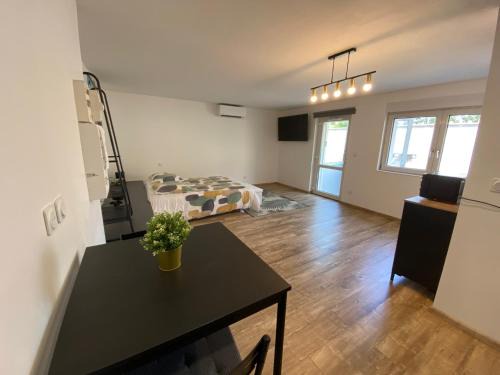 Horbourg-Wihr Apartamento | Studio climatisé 30 m2 à 2 min de Colmar