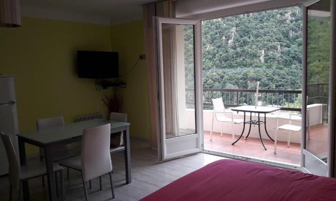 Amelie-les-Bains-Palalda Apartamento | Studio couleur gai