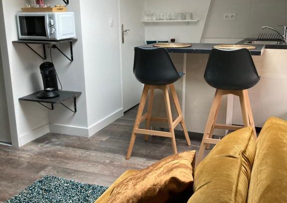Moliere Vauban Apartamento | Studio cocooning et refait à neuf. Lyon 06