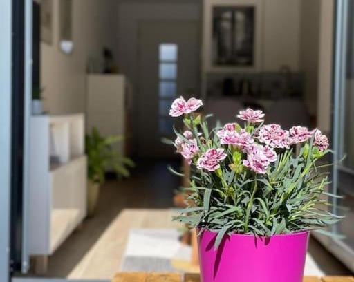 Porchefontaine Apartamento | Studio Cosy Fleur de Lys