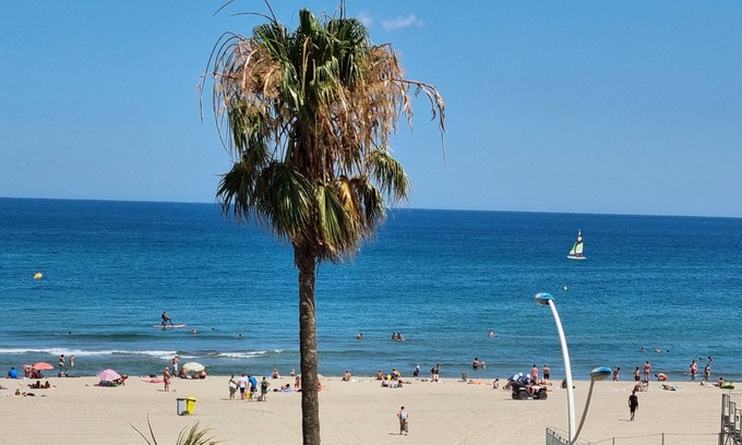 Mediterranee Apartamento | Studio Cosy Canet Plage